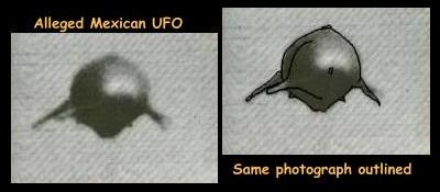 mexufo.jpg; UFO? It's a freakin'
dolphin!